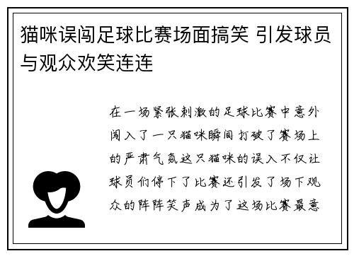 猫咪误闯足球比赛场面搞笑 引发球员与观众欢笑连连