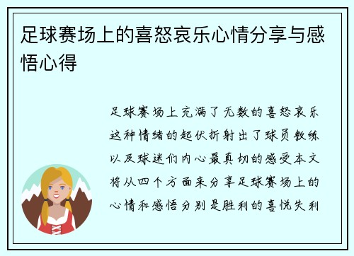 足球赛场上的喜怒哀乐心情分享与感悟心得