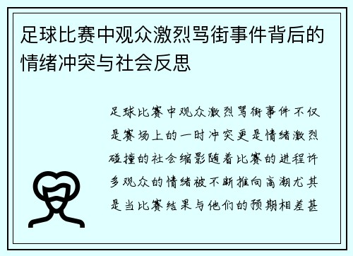 足球比赛中观众激烈骂街事件背后的情绪冲突与社会反思