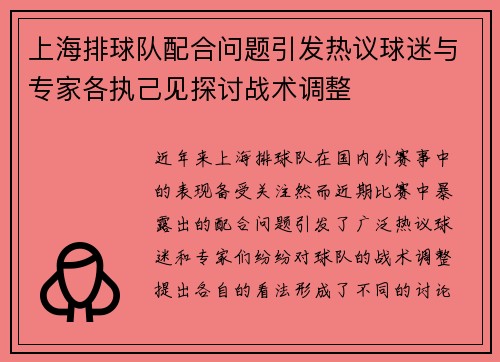 上海排球队配合问题引发热议球迷与专家各执己见探讨战术调整